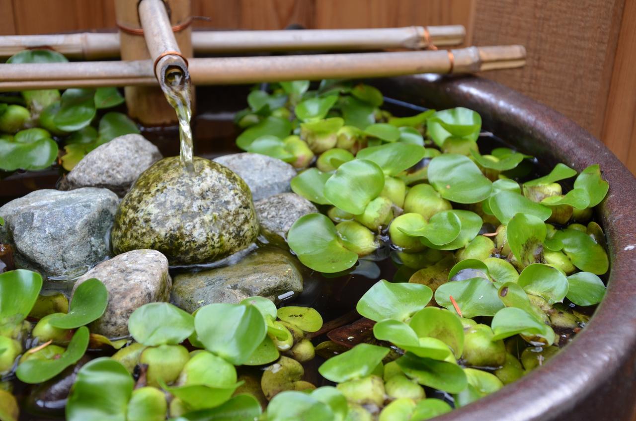 Shades Of Jade Inn & Spa Roberts Creek Екстериор снимка